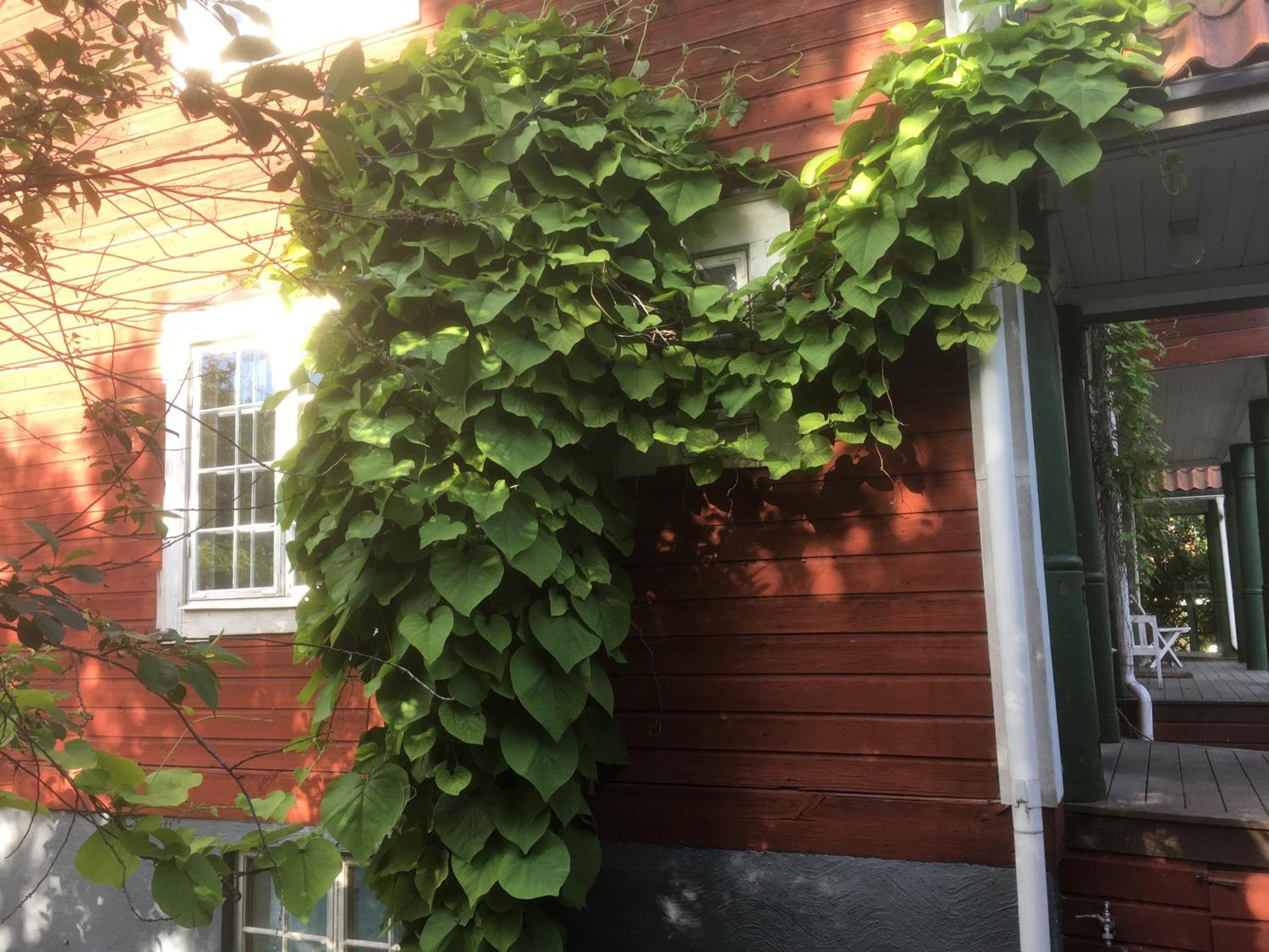 Stockholm B&B Cottage Nacka Phòng bức ảnh