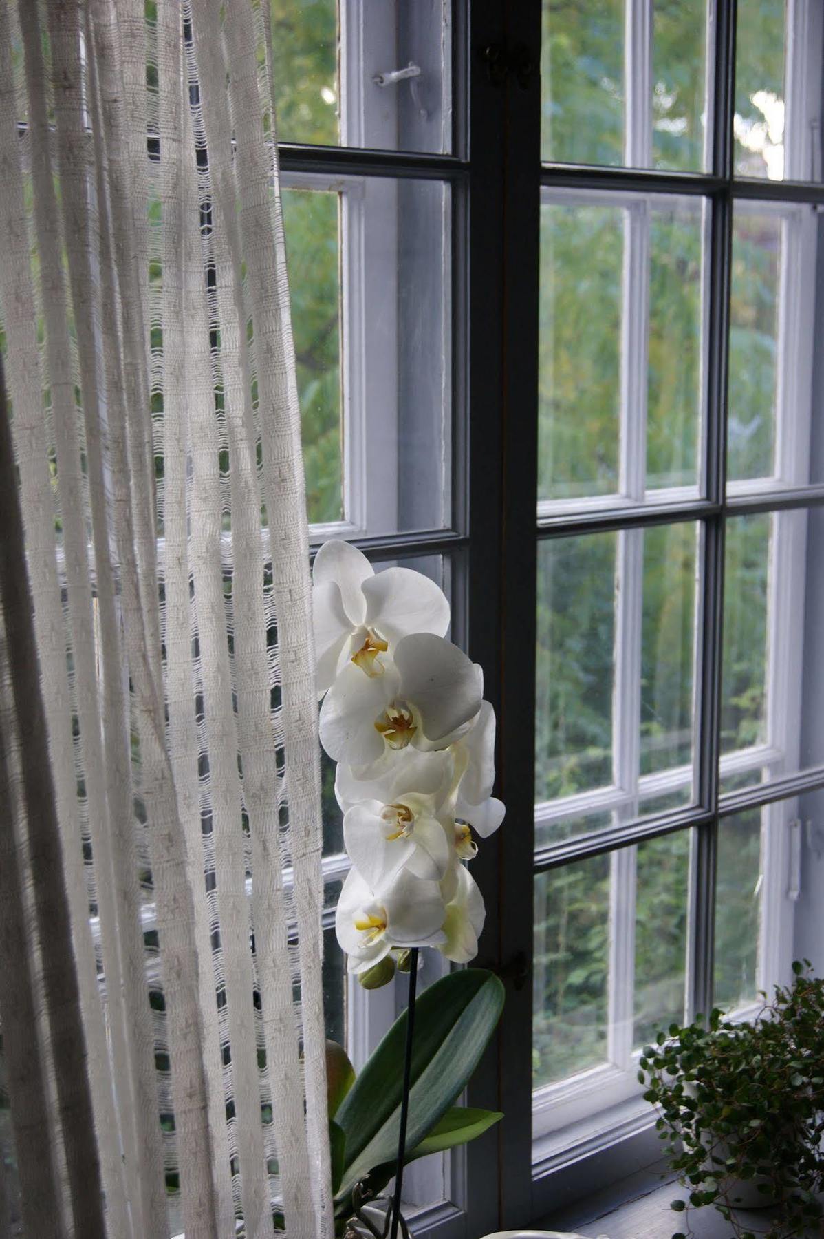 Stockholm B&B Cottage Nacka Ngoại thất bức ảnh