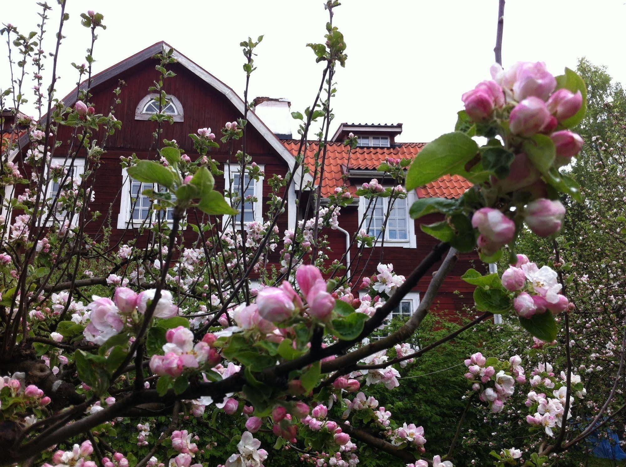 Stockholm B&B Cottage Nacka Ngoại thất bức ảnh